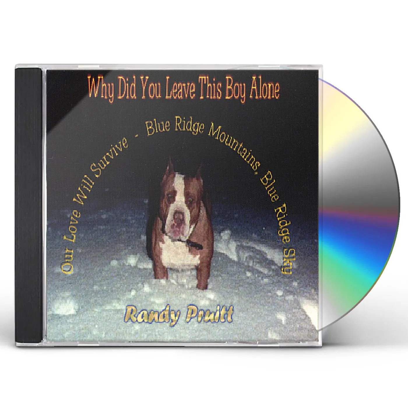 Randy Pruitt WHY DID YOU LEAVE THIS BOY ALONE? CD