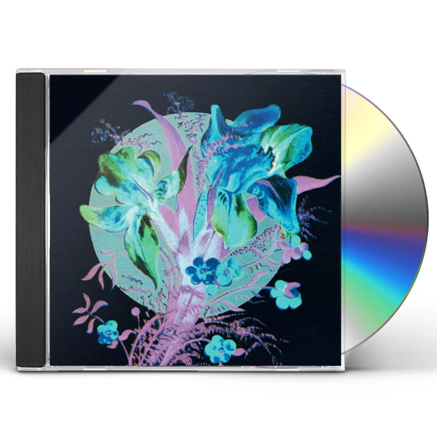 Hannu Karjalainen HANDFUL OF DUST IS A DESERT CD