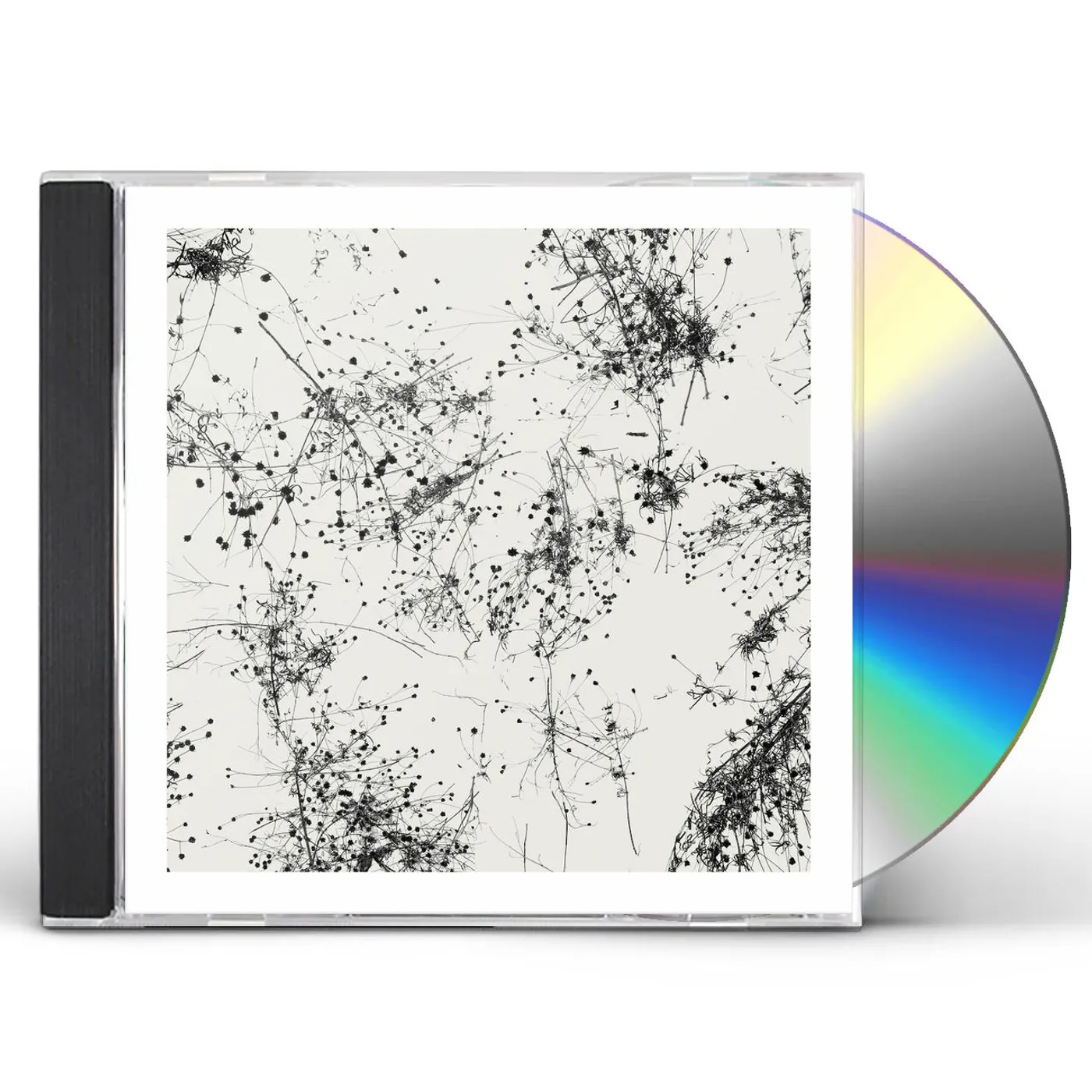 Taylor Deupree SOMI CD