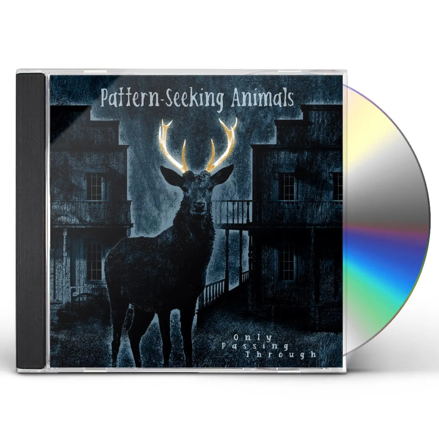 Pattern-Seeking Animals ONLY PASSING THROUGH CD