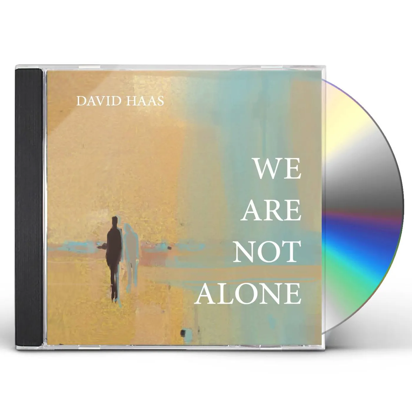 David Haas WE ARE NOT ALONE CD