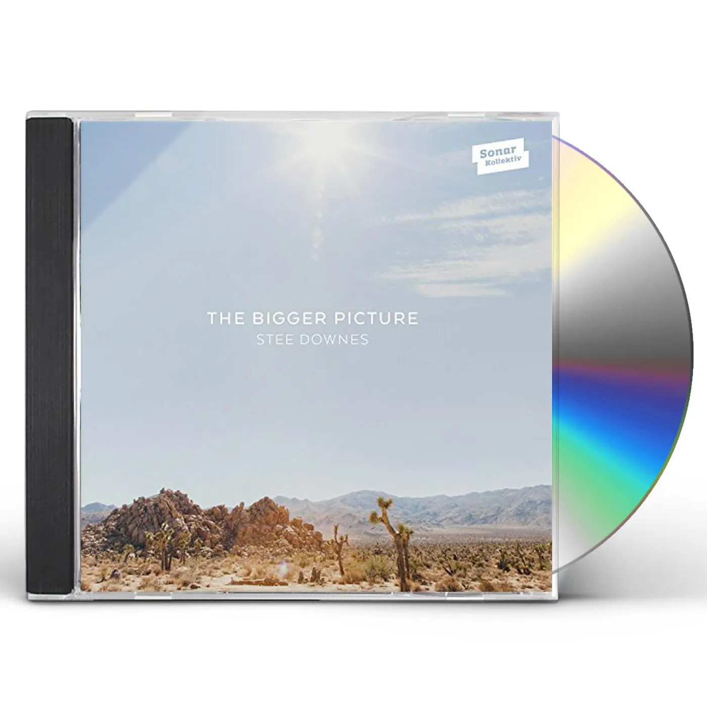 Stee Downes BIGGER PICTURE CD