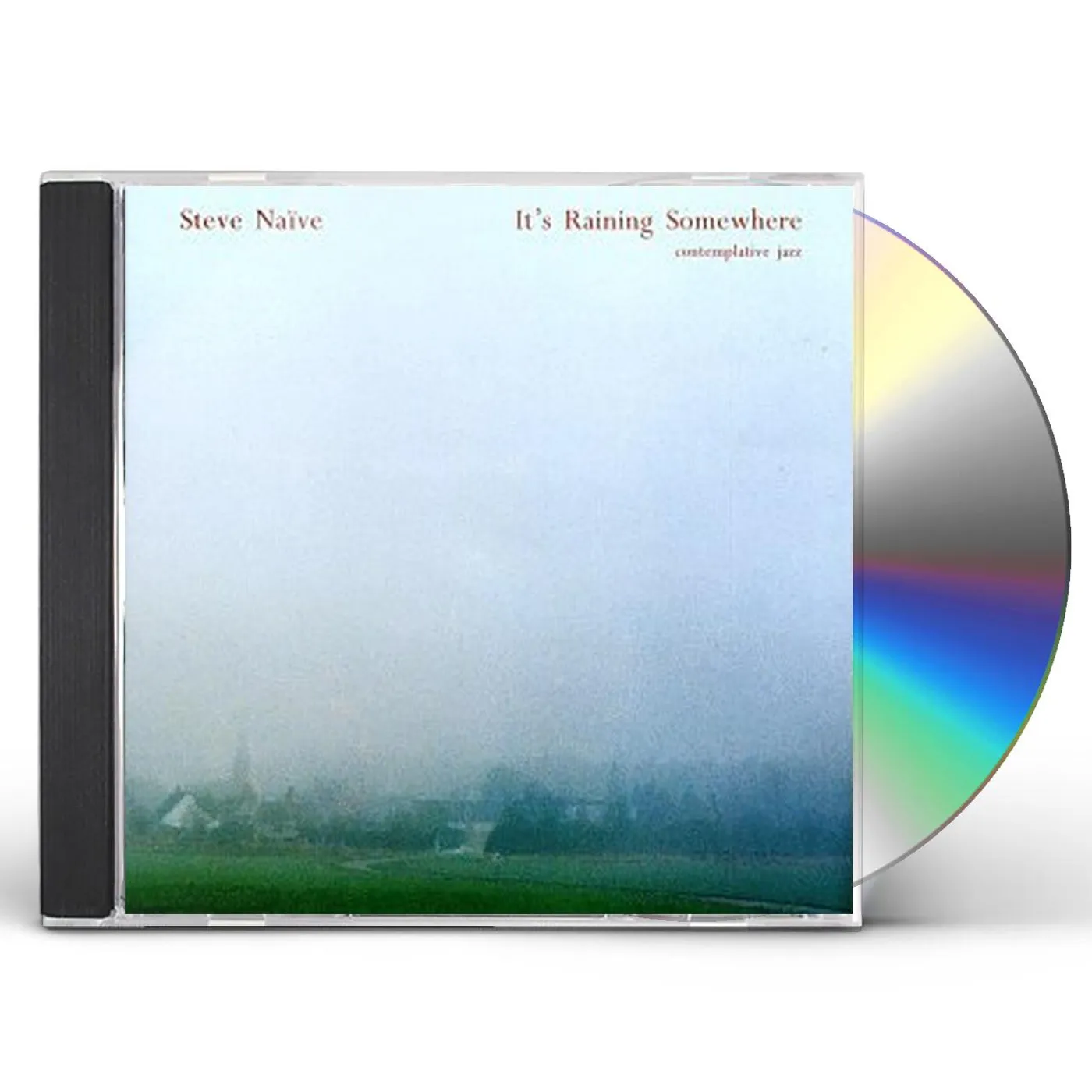 Steve Nieve IT'S RAINING SOMEWHERE CD