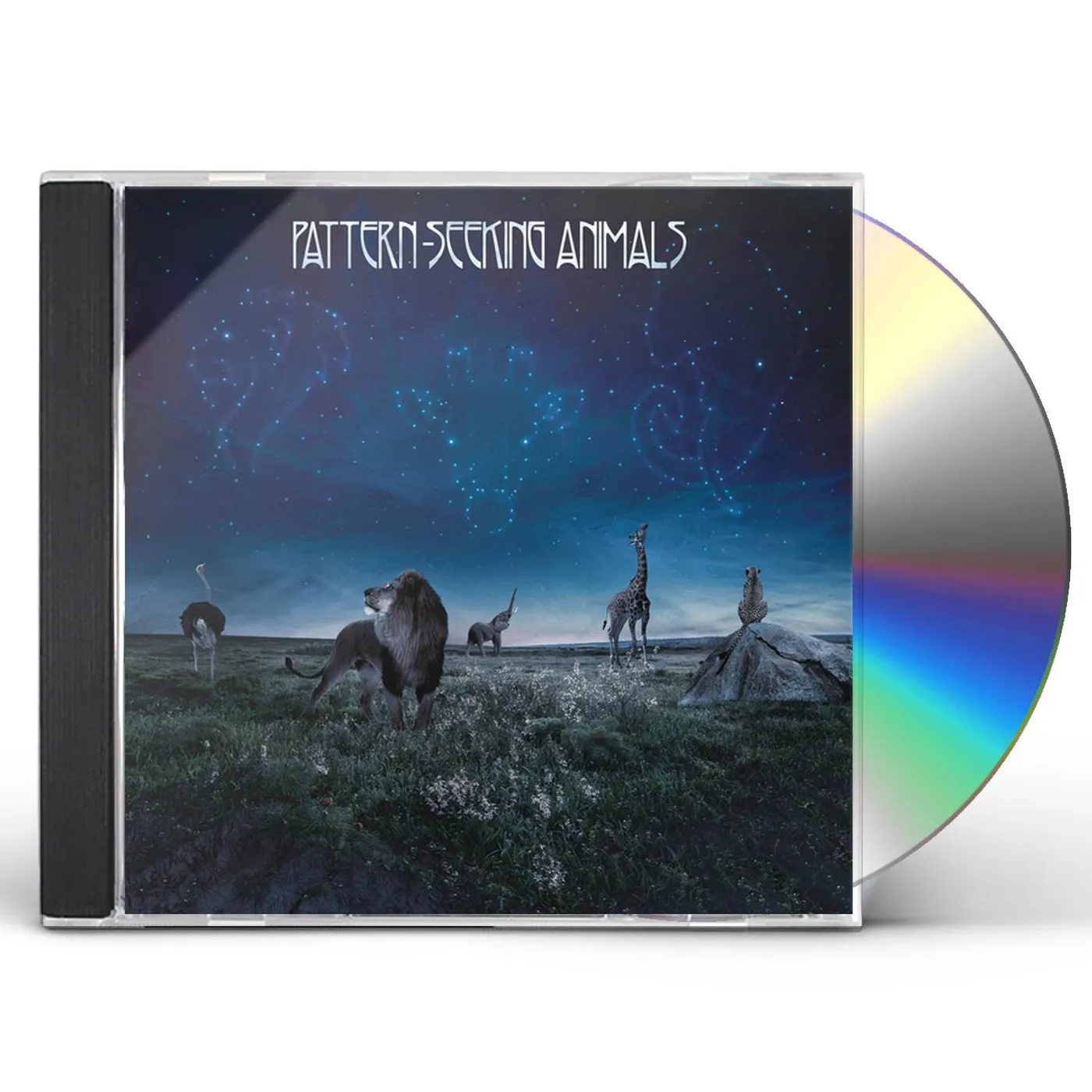 Pattern-Seeking Animals CD