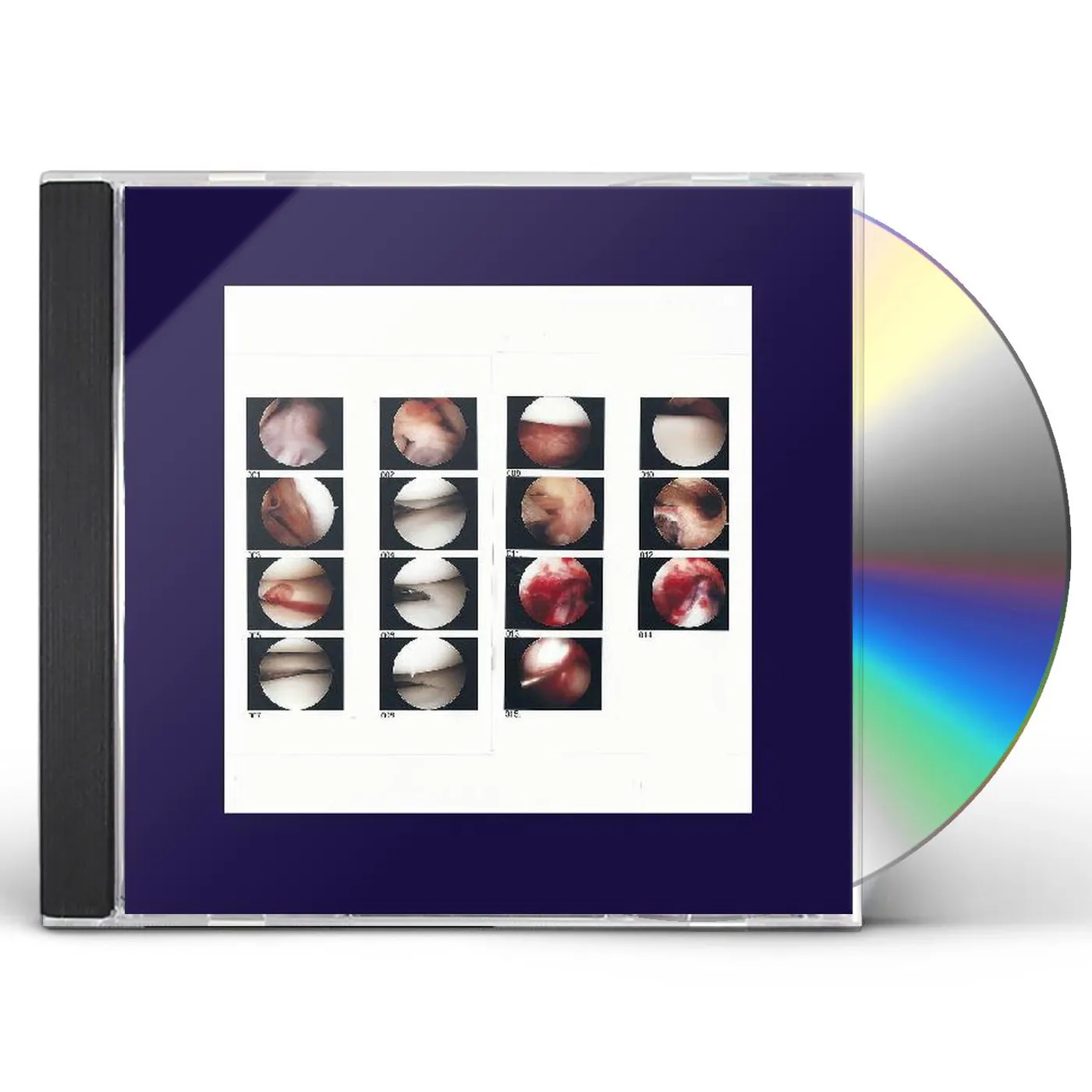 The Cradle LAUGHING IN MY SLEEP (DL CARD) CD