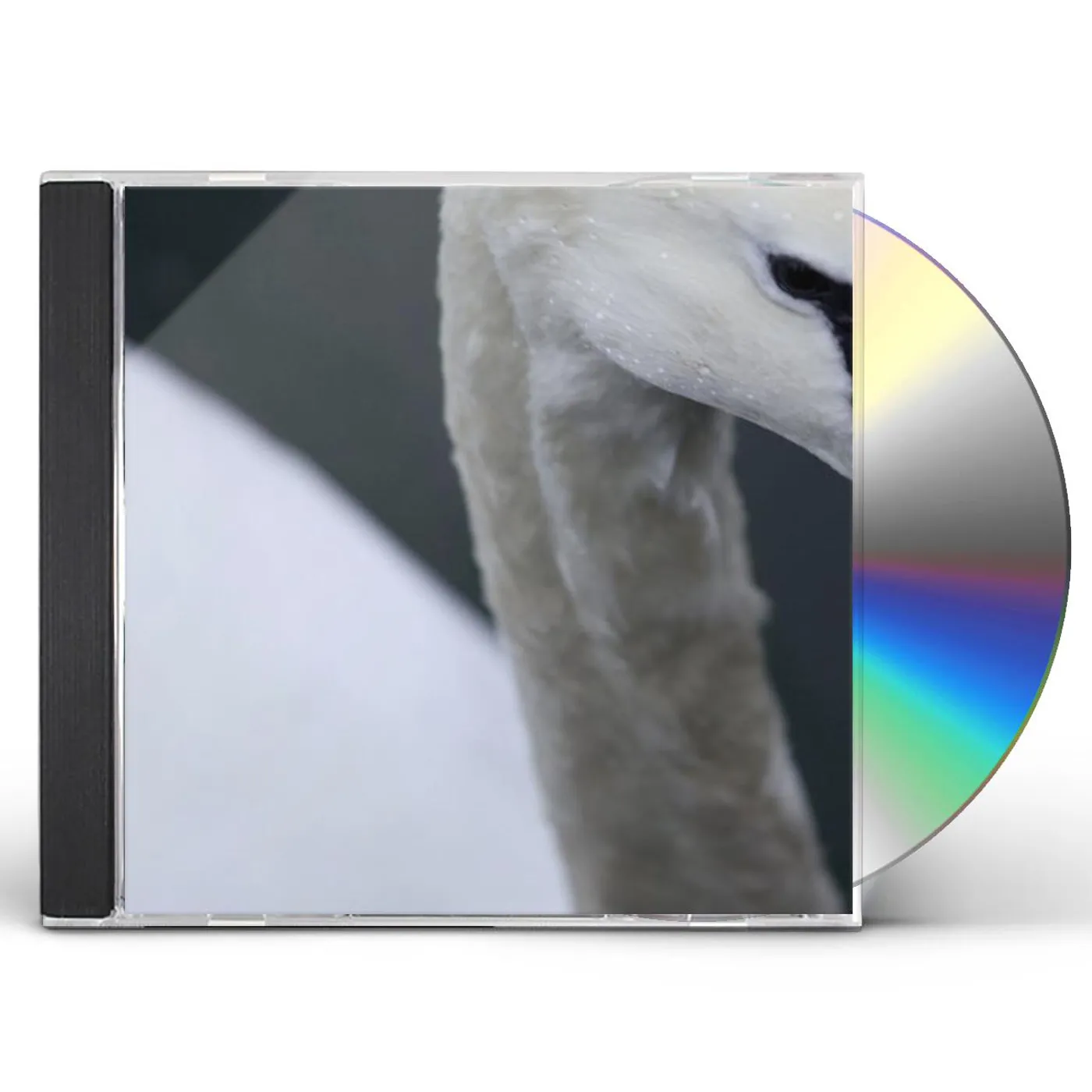 Echoes PURSUIT CD