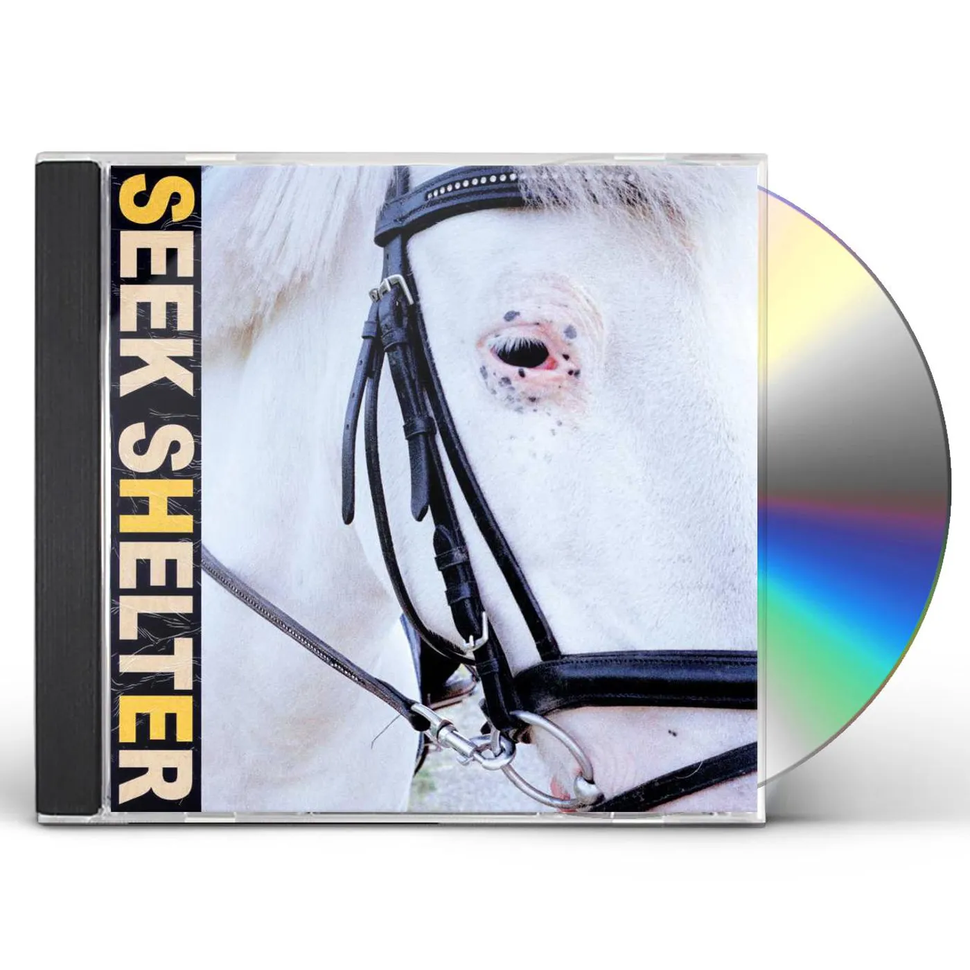 Iceage SEEK SHELTER CD