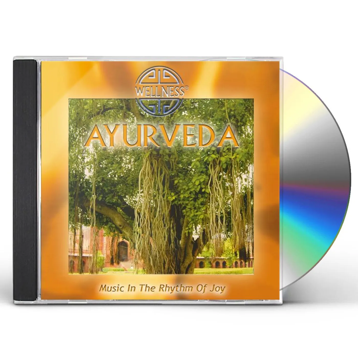 Guru Atman AYURVEDA: MUSIC IN THE RHYTHM OF JOY CD