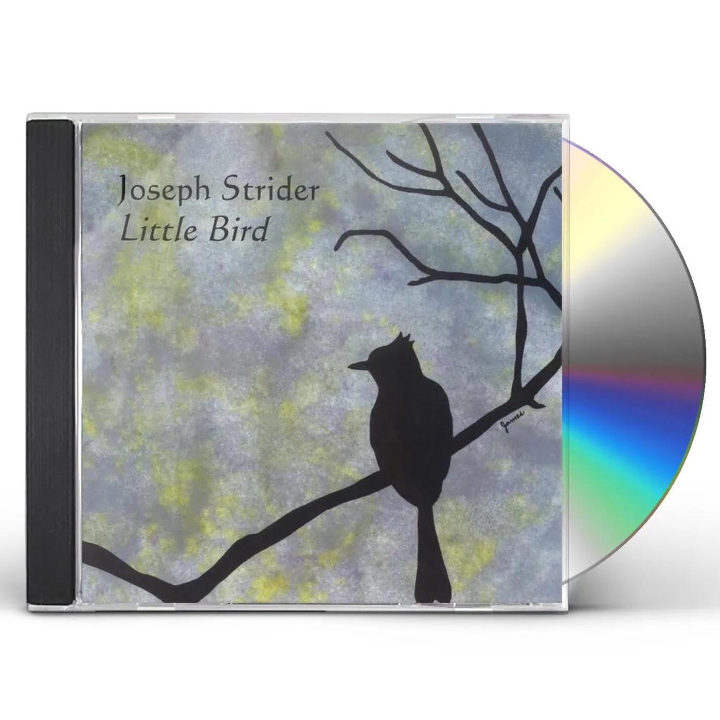 Joseph Strider LITTLE BIRD CD