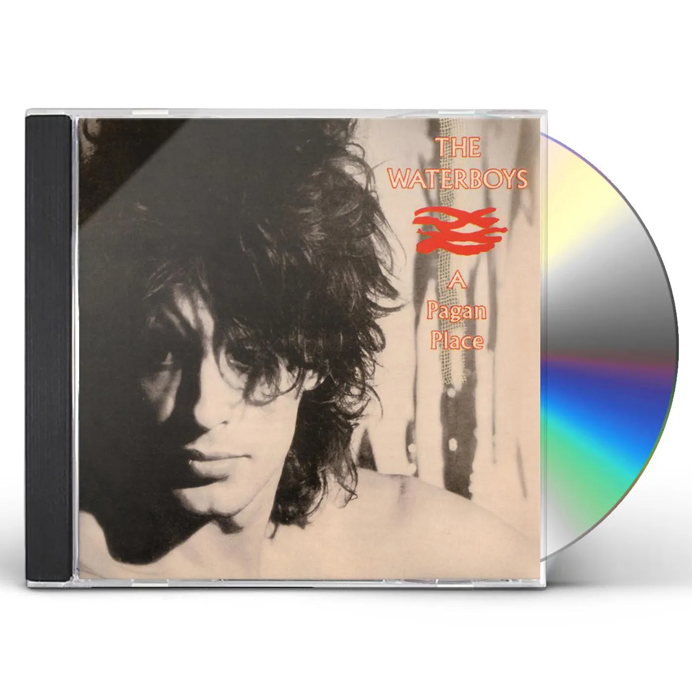 The Waterboys PAGAN PLACE CD