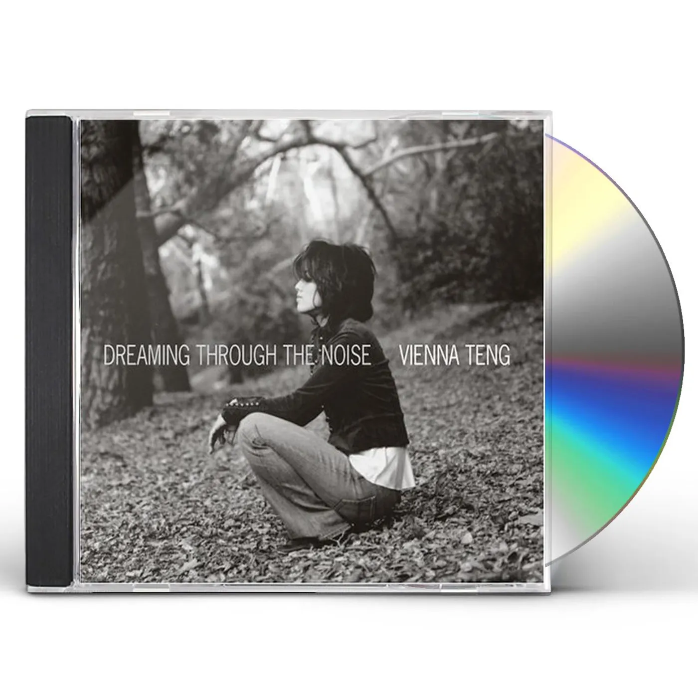 Vienna Teng DREAMING THROUGH THE NOISE CD