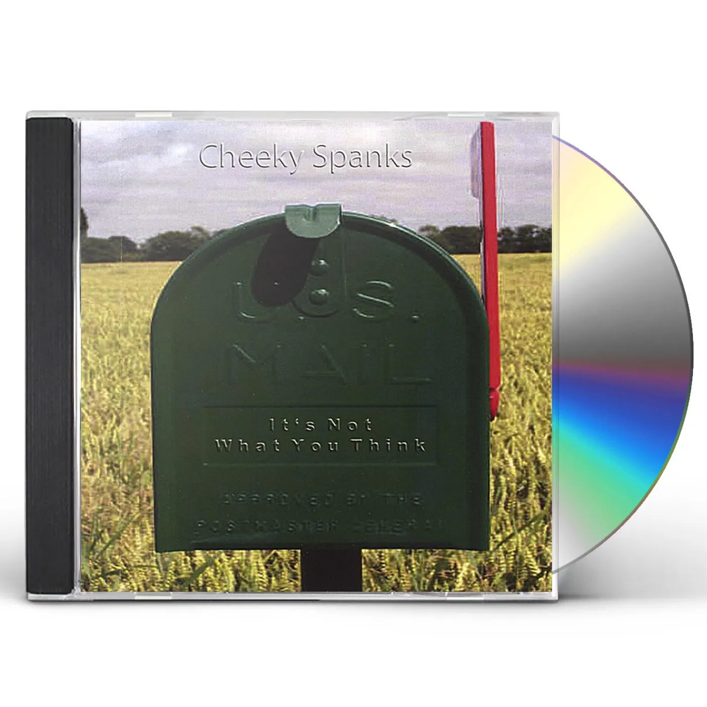 Cheeky Spanks IT'S NOT WHAT YOU THINK CD