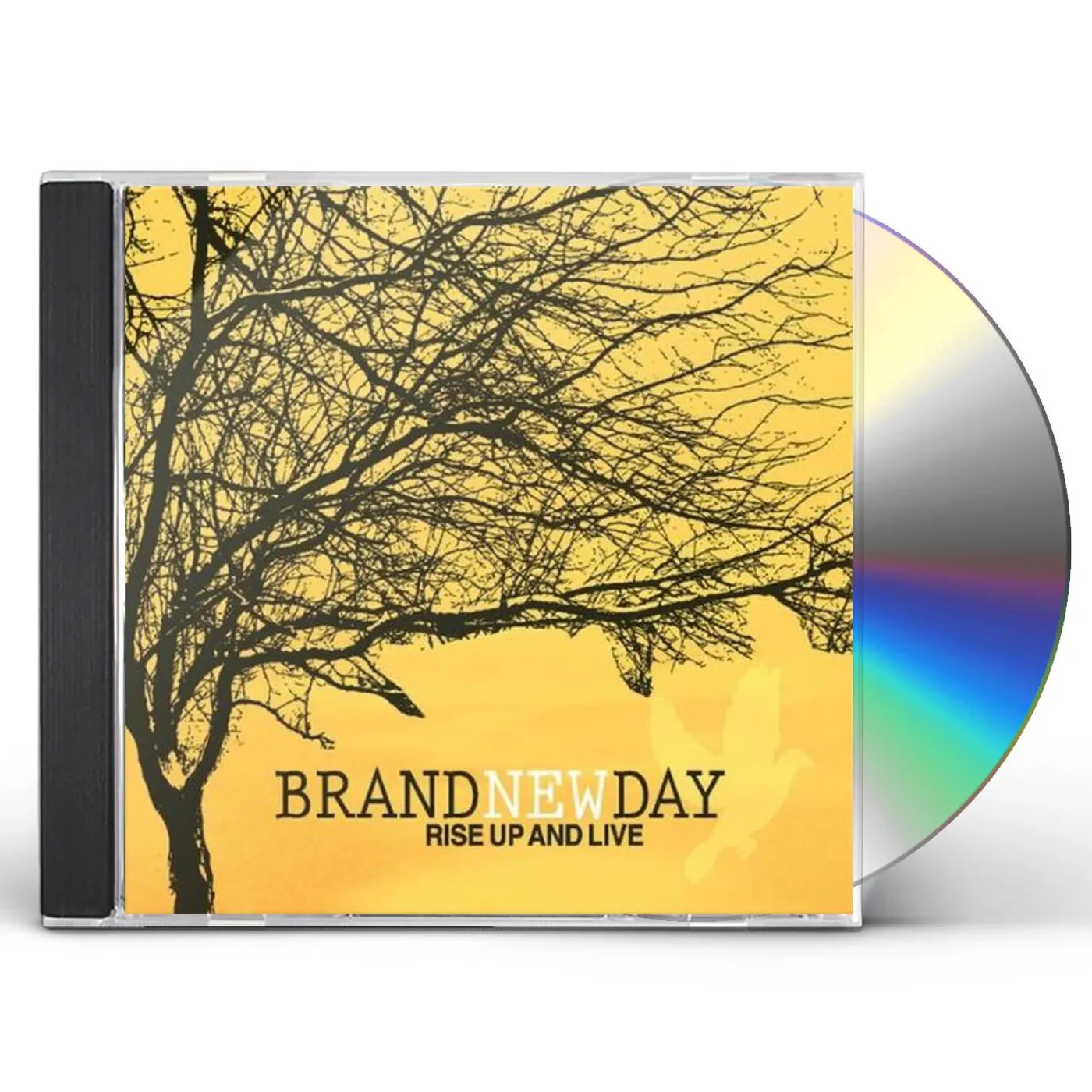 Brand New Day RISE UP & LIVE CD