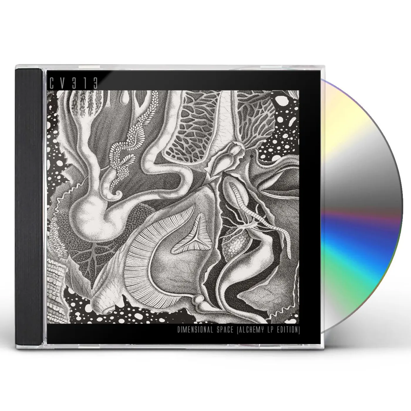 Cv313 DIMENSIONAL SPACE CD