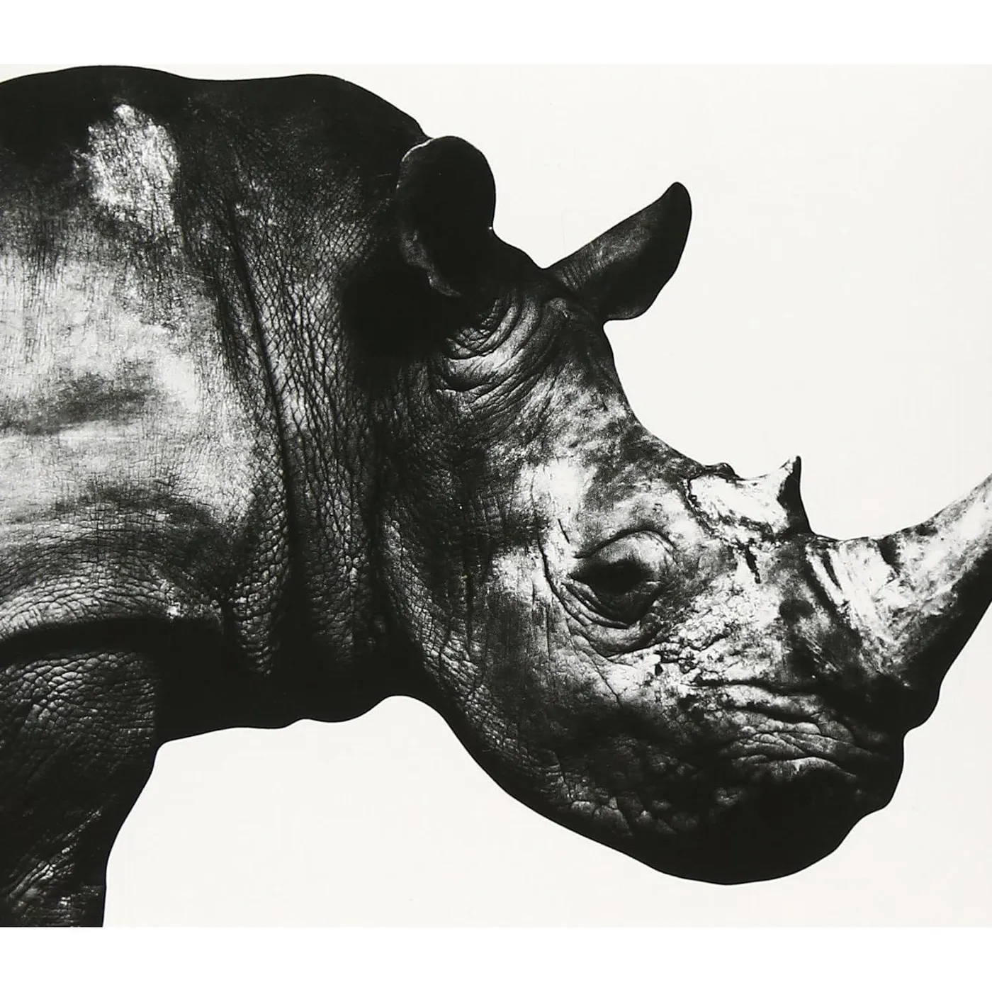  Mr.Children 1992-1994 Niku CD