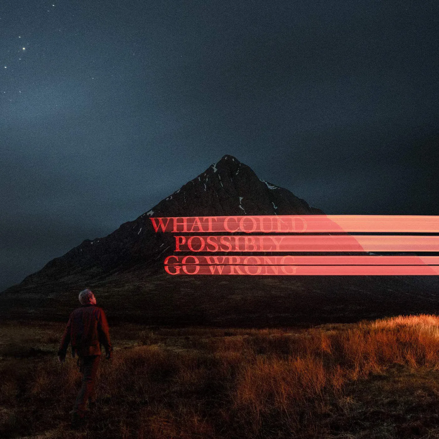 Dominic Fike What Could Possibly Go Wrong (X/Poster) Vinyl Record