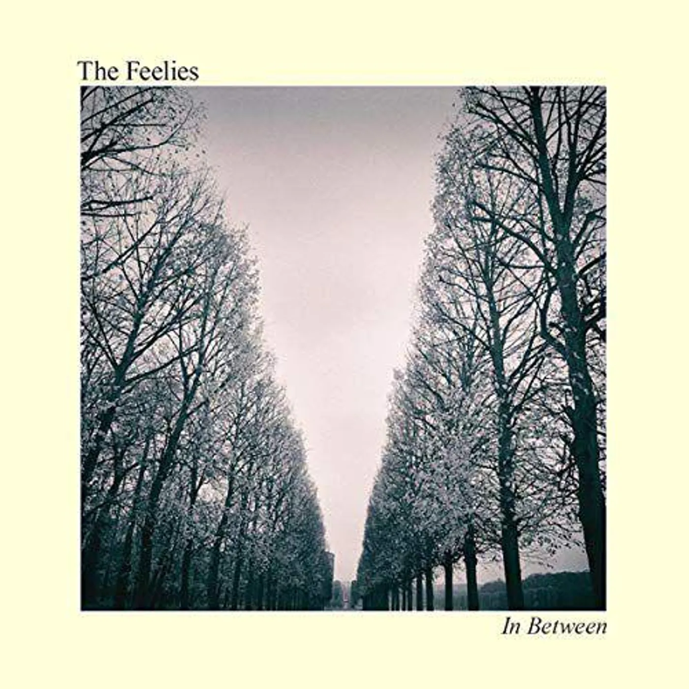 The Feelies IN BETWEEN Vinyl Record