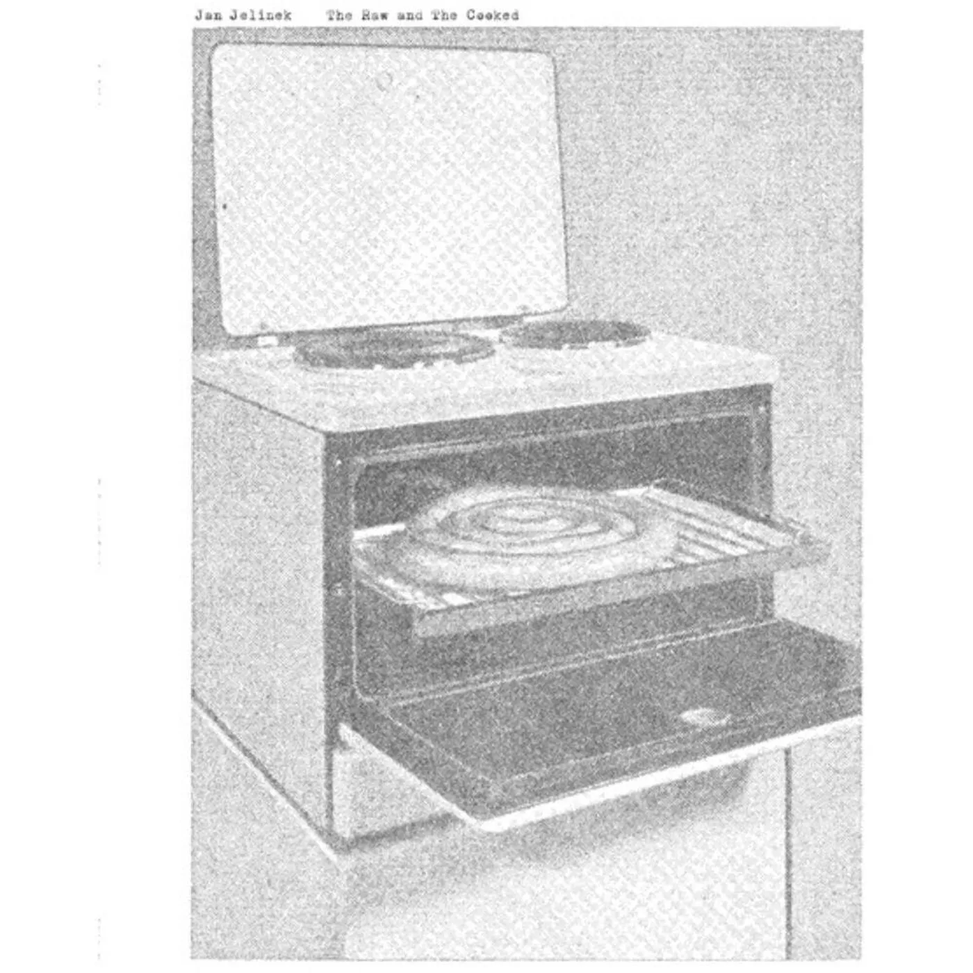 Jan Jelinek RAW & THE COOKED Vinyl Record