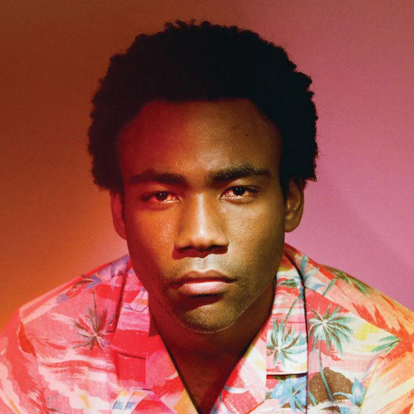 Childish Gambino Because the Internet Vinyl Record
