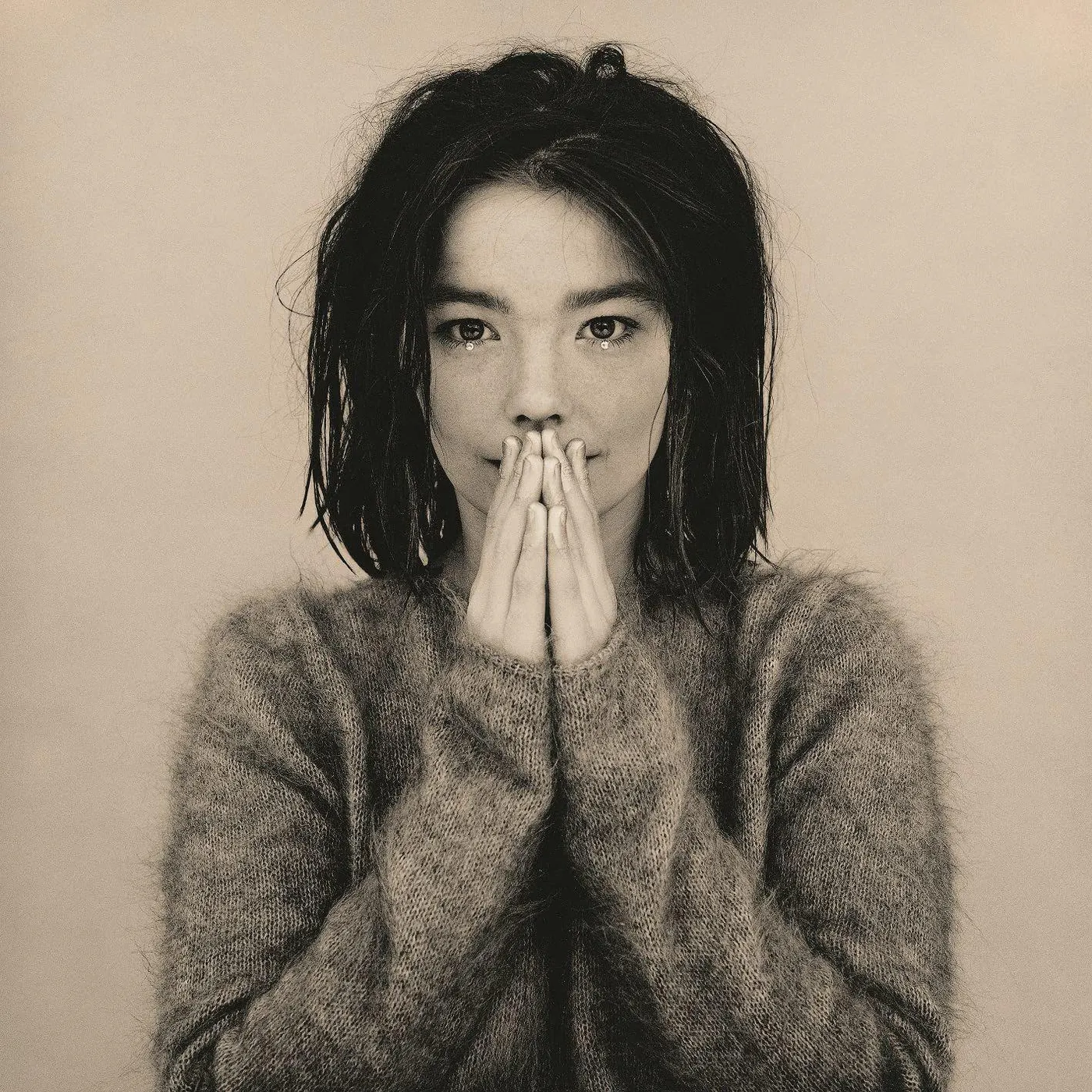 Björk Debut Vinyl Record