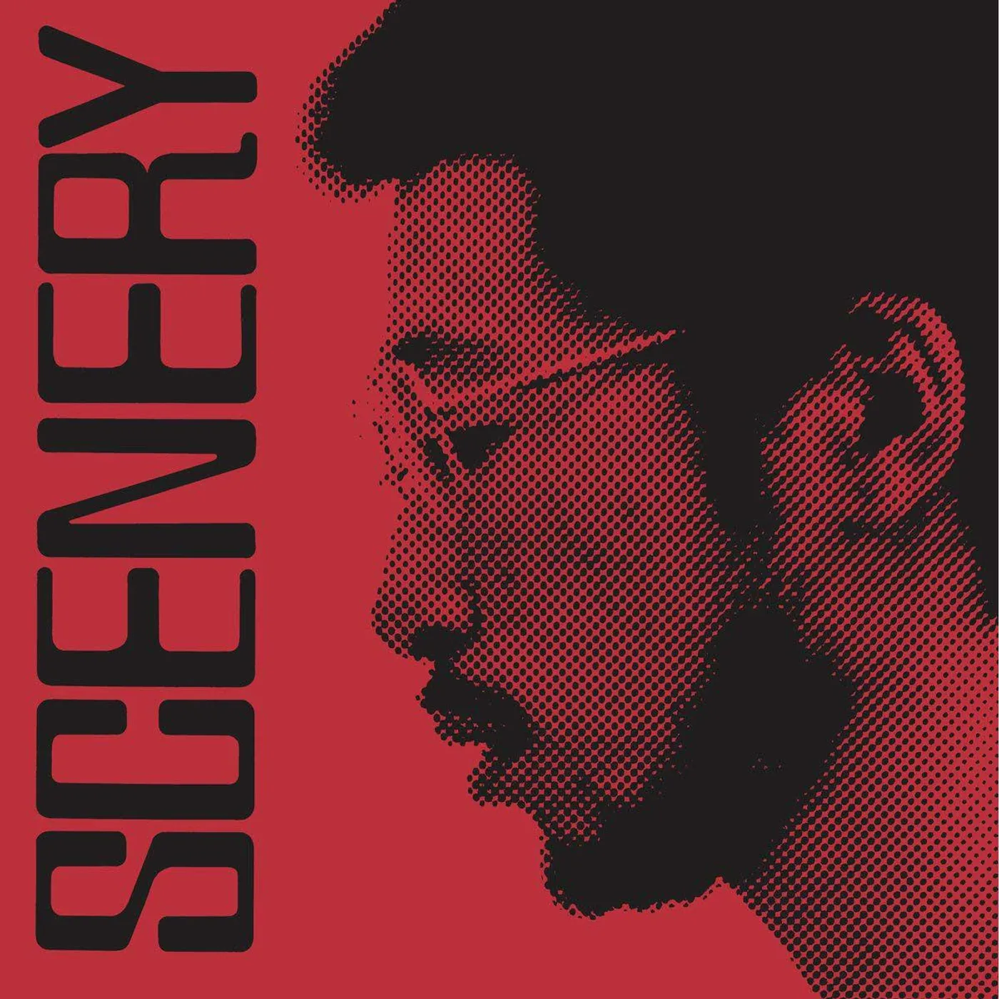 Ryo Fukui Scenery Vinyl Record