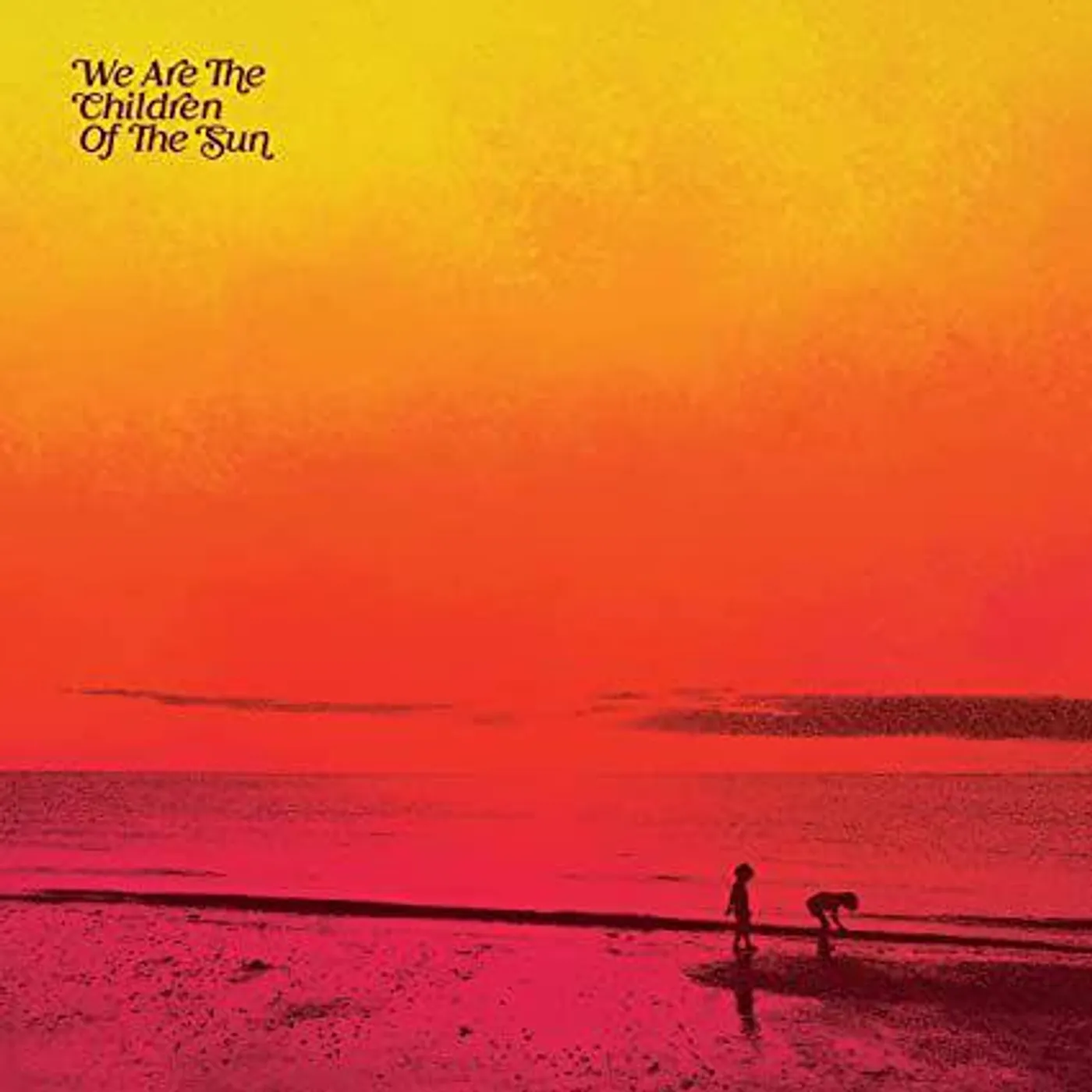 Various Artists  We Are The Children Of The Sun vinyl record