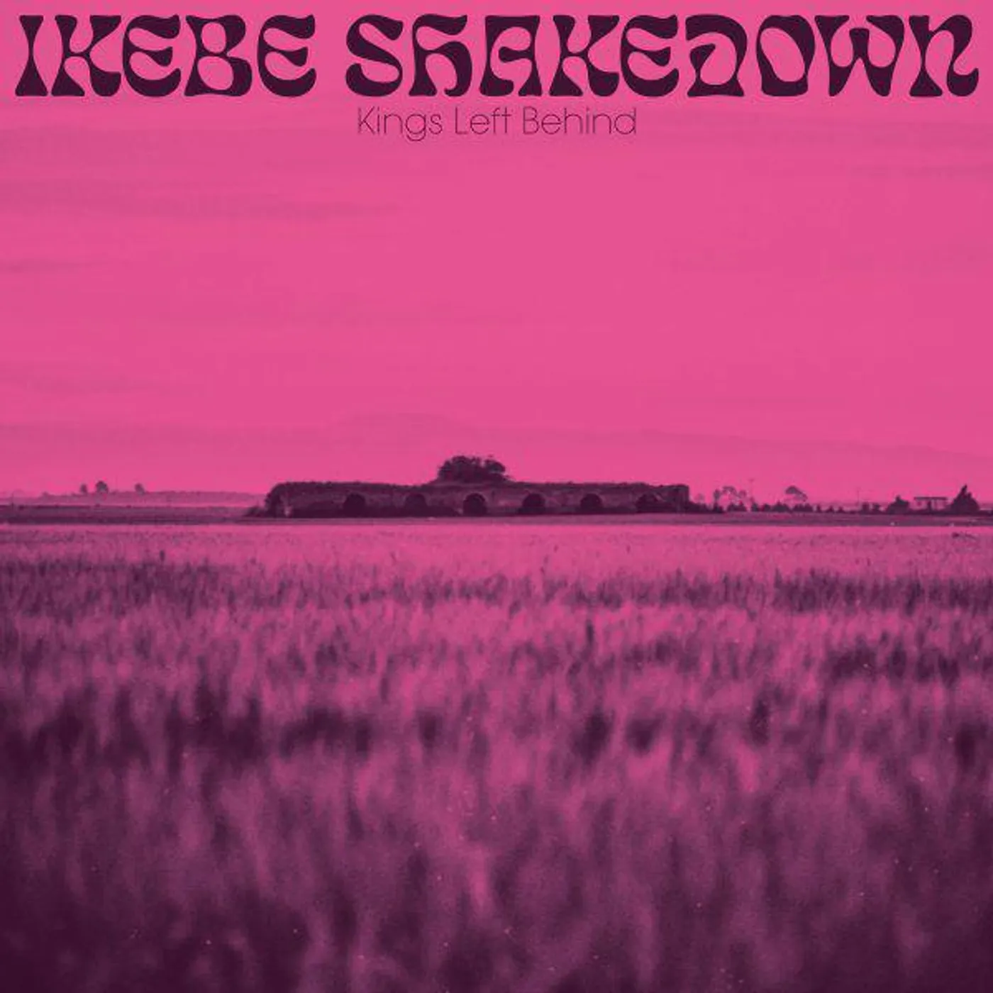 Ikebe Shakedown Kings Left Behind vinyl record