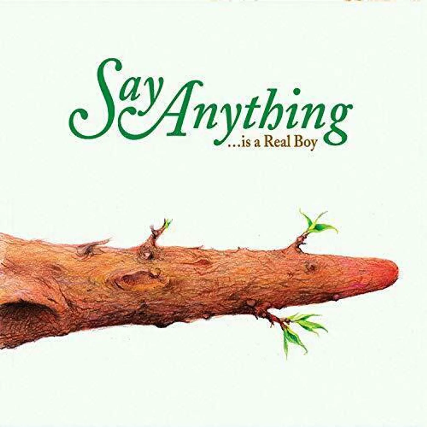 Say Anything Is A Real Boy vinyl record