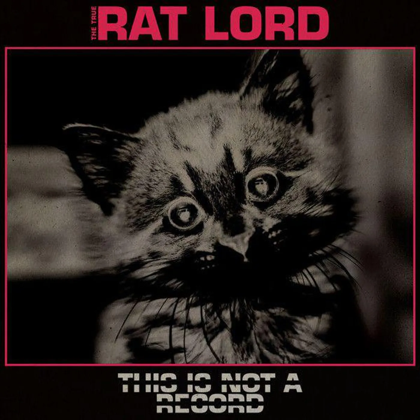 Rat Lord This Is Not A Record vinyl record
