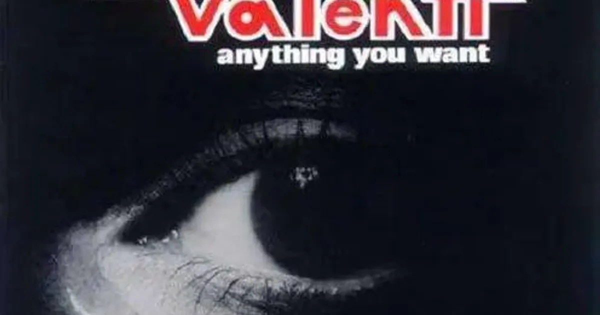 John Valenti ANYTHING YOU WANT Vinyl Record