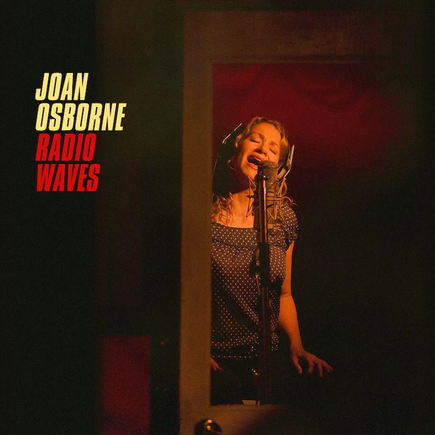 Joan Osborne Radio Waves Vinyl Record