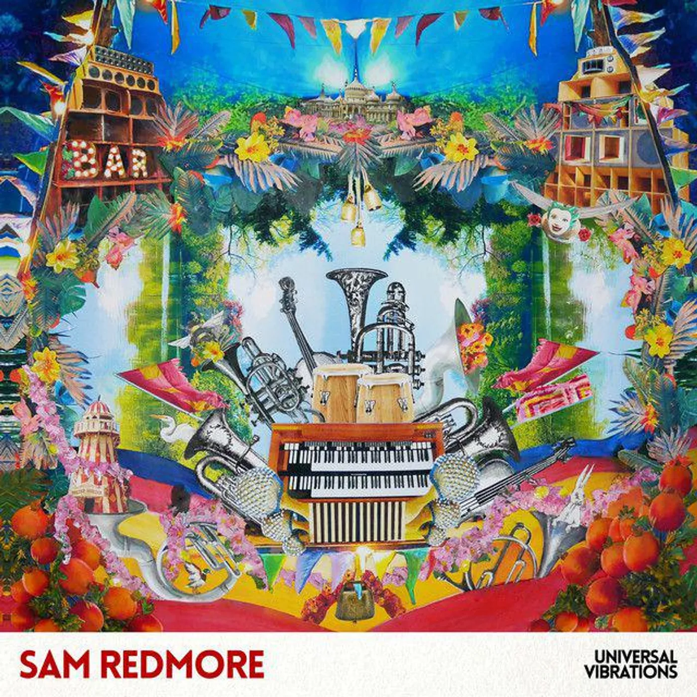 Sam Redmore Universal Vibrations Vinyl Record