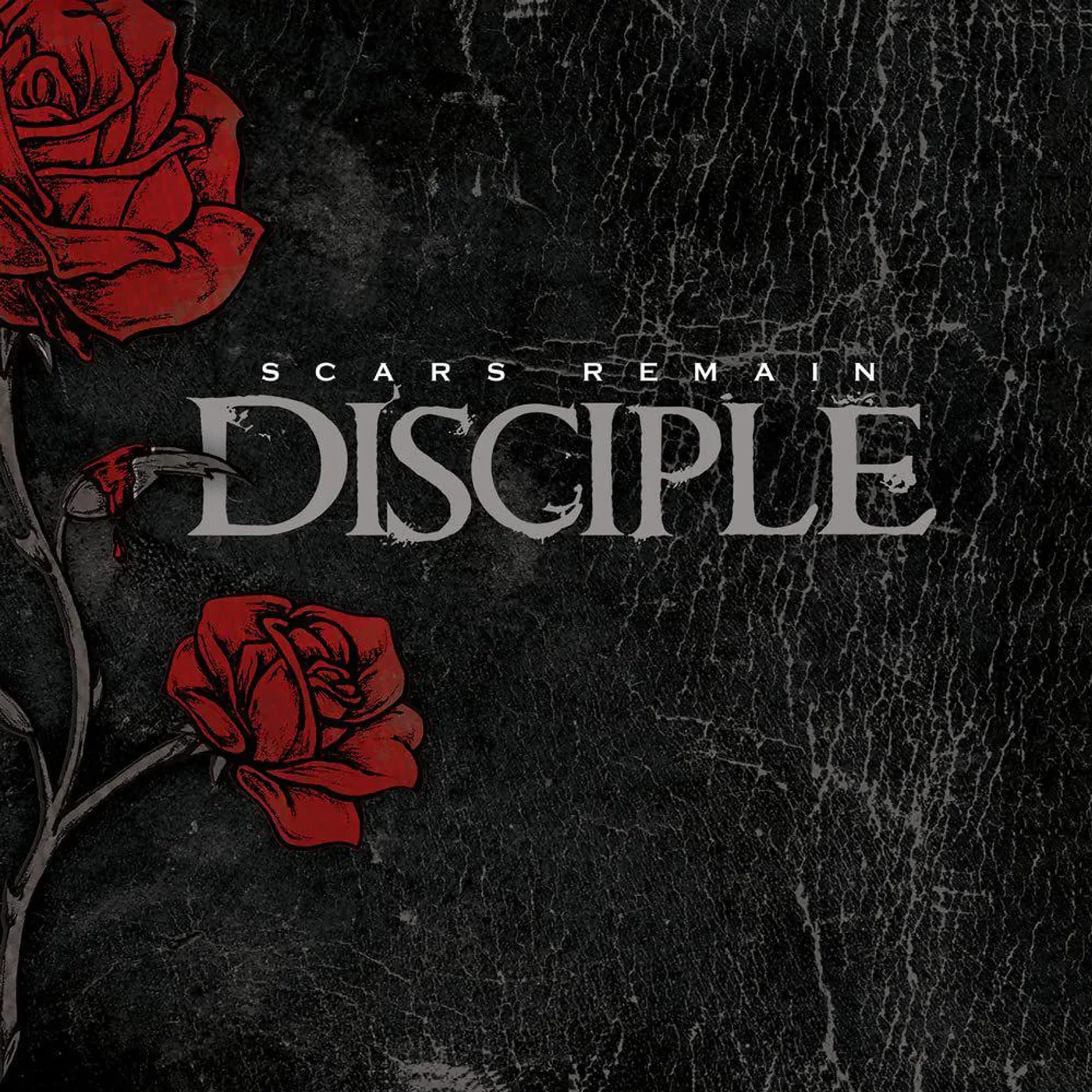 DISICPLE Scars Remain (Red Rose) Vinyl Record