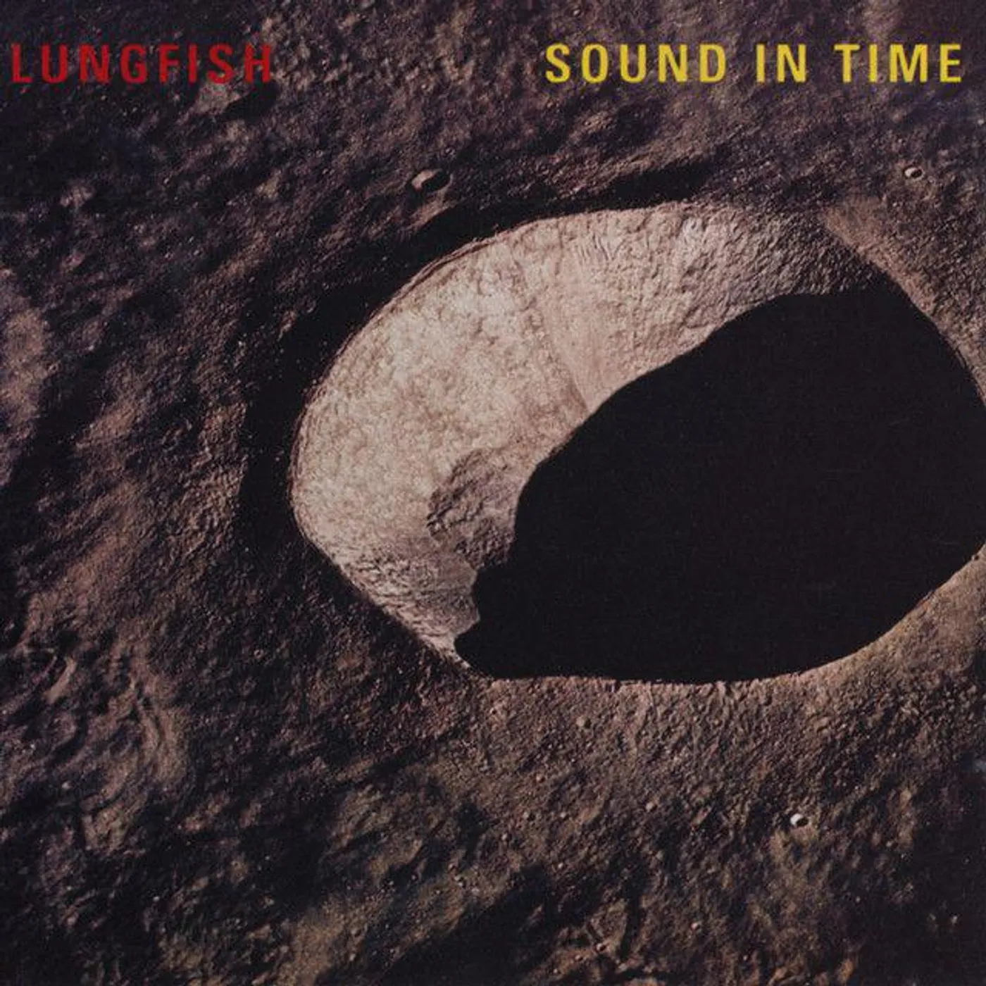 Lungfish Sound In Time Vinyl Record