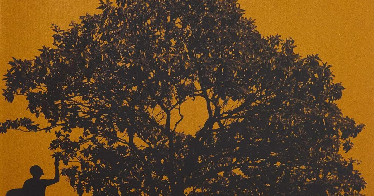 Jack Johnson In Between Dreams Vinyl Record