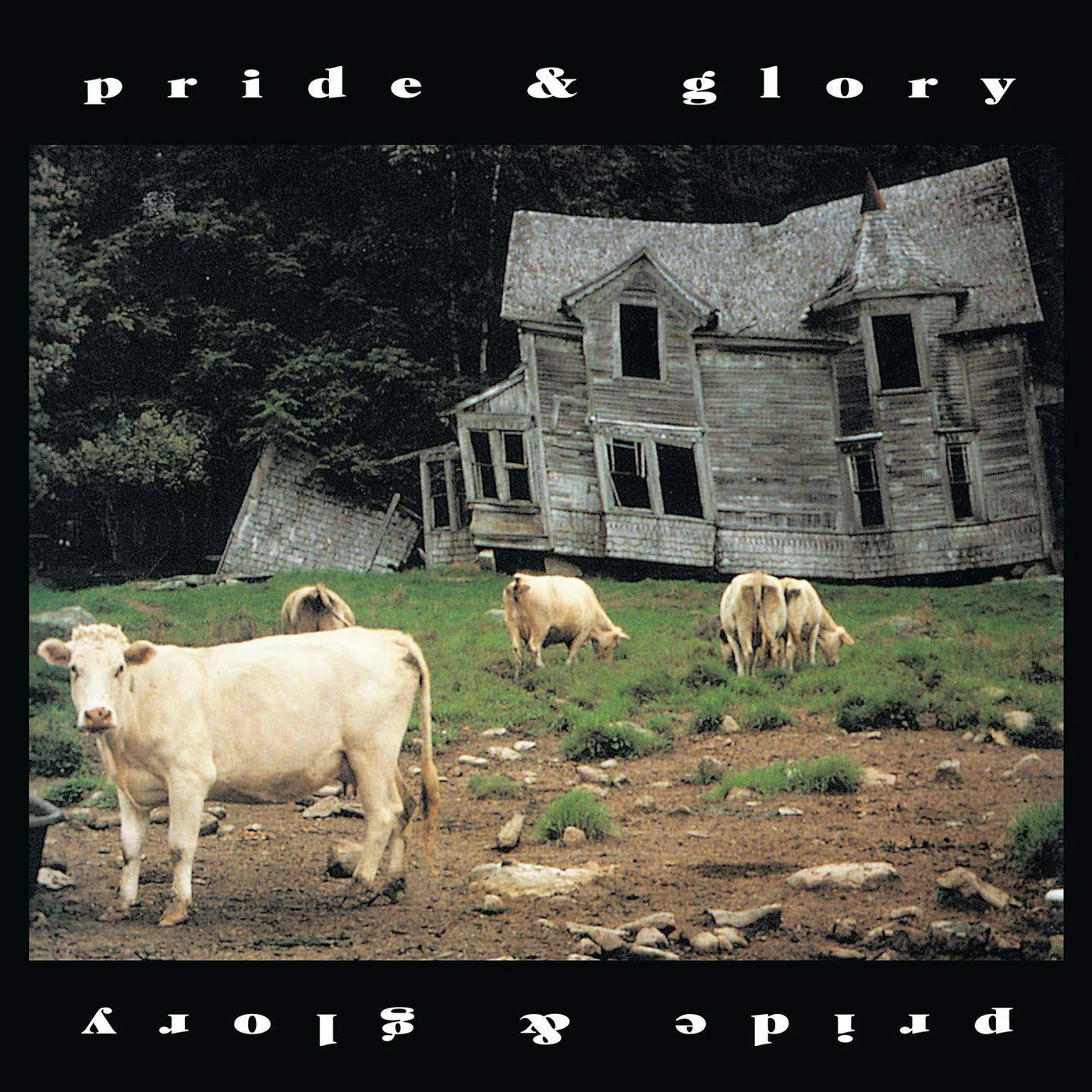 Pride & Glory (Picture Disc) Vinyl Record
