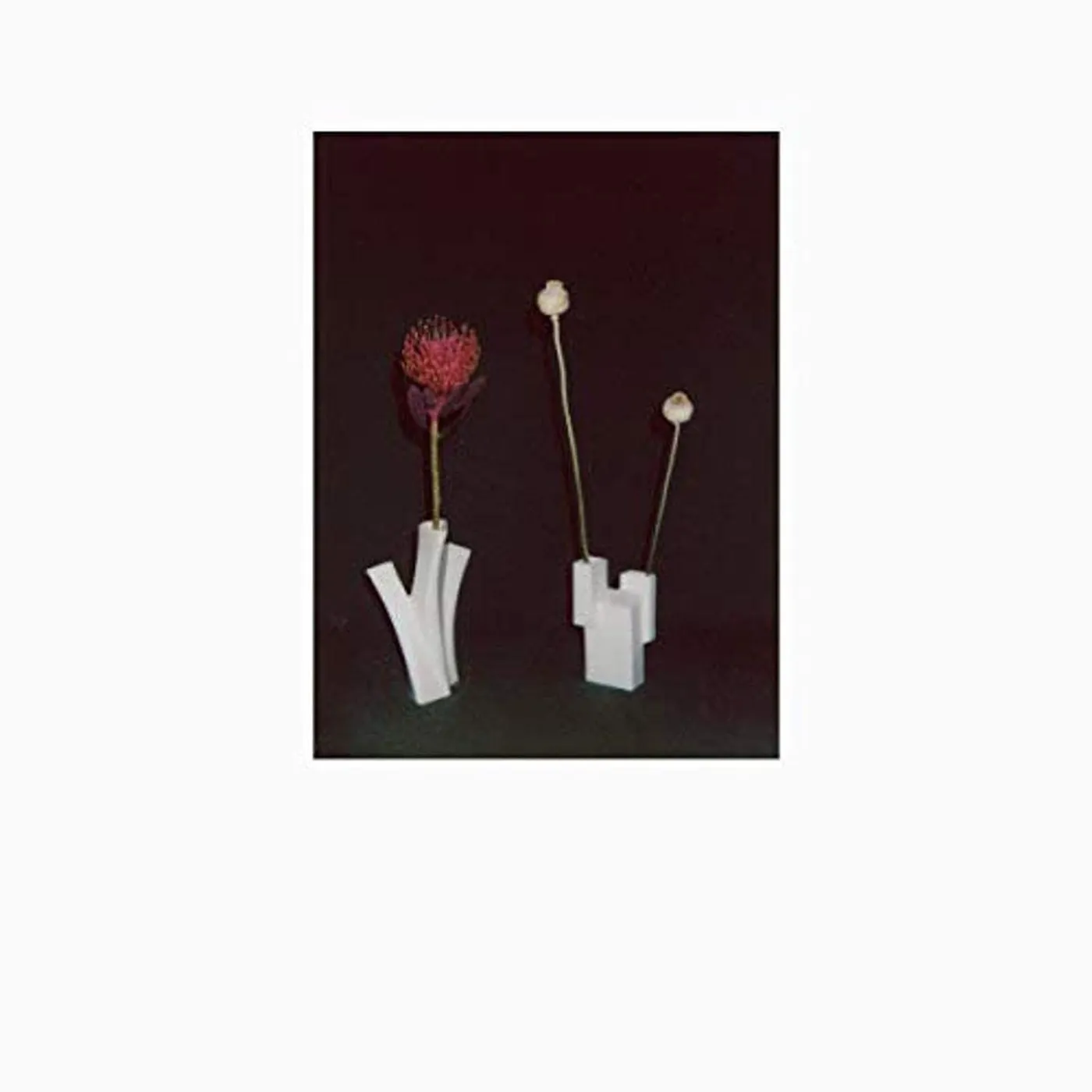 Felicia Atkinson FLOWER & THE VESSEL Vinyl Record