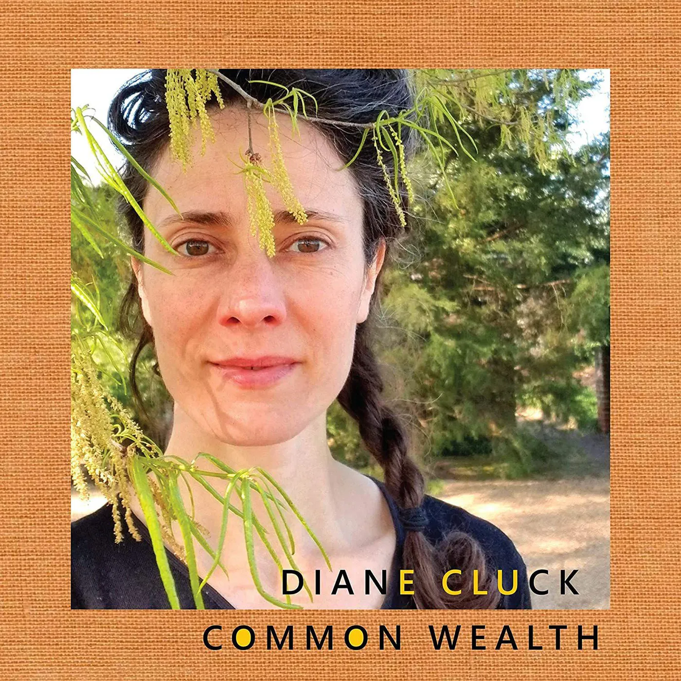 Diane Cluck Common Wealth Vinyl Record