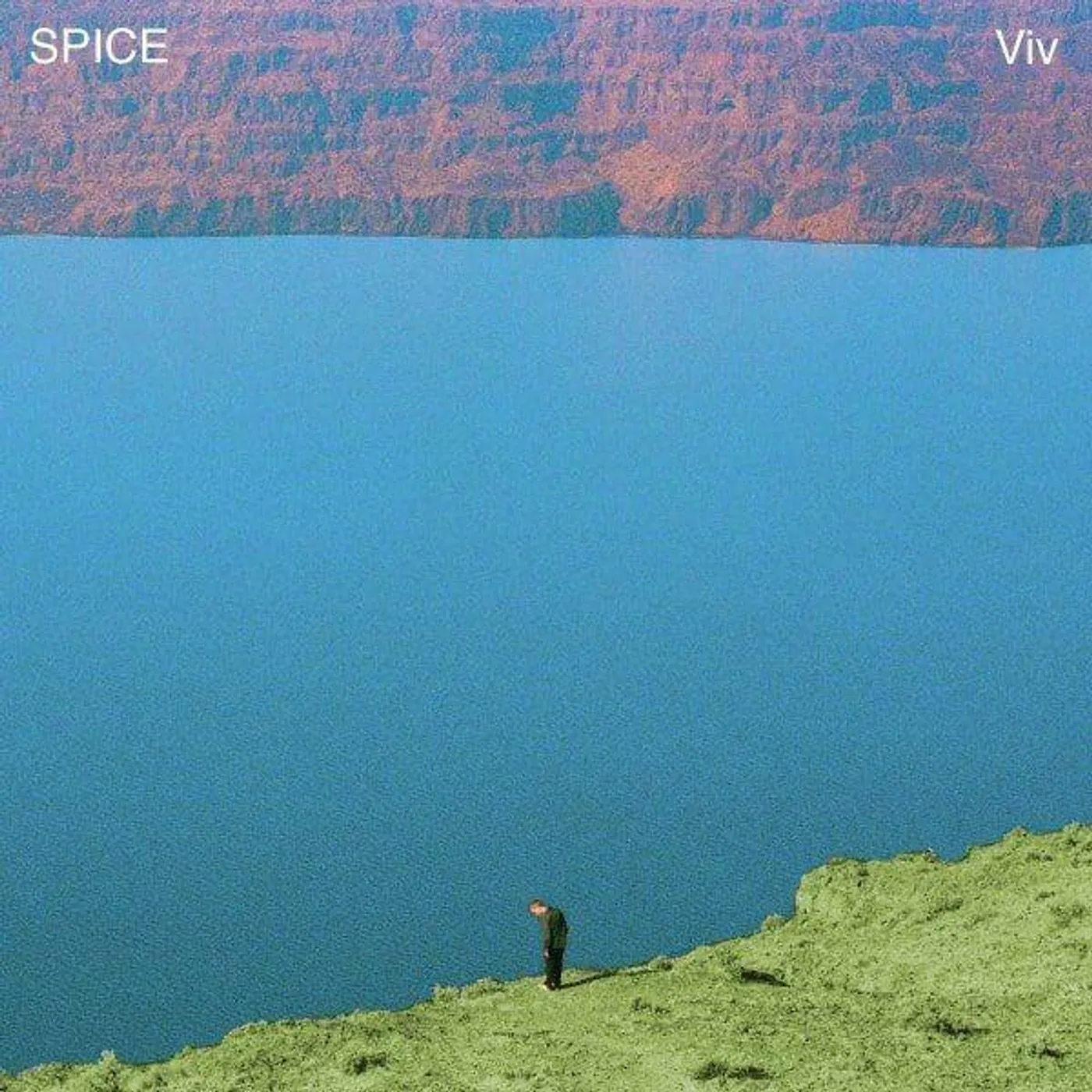 SPICE Viv Vinyl Record