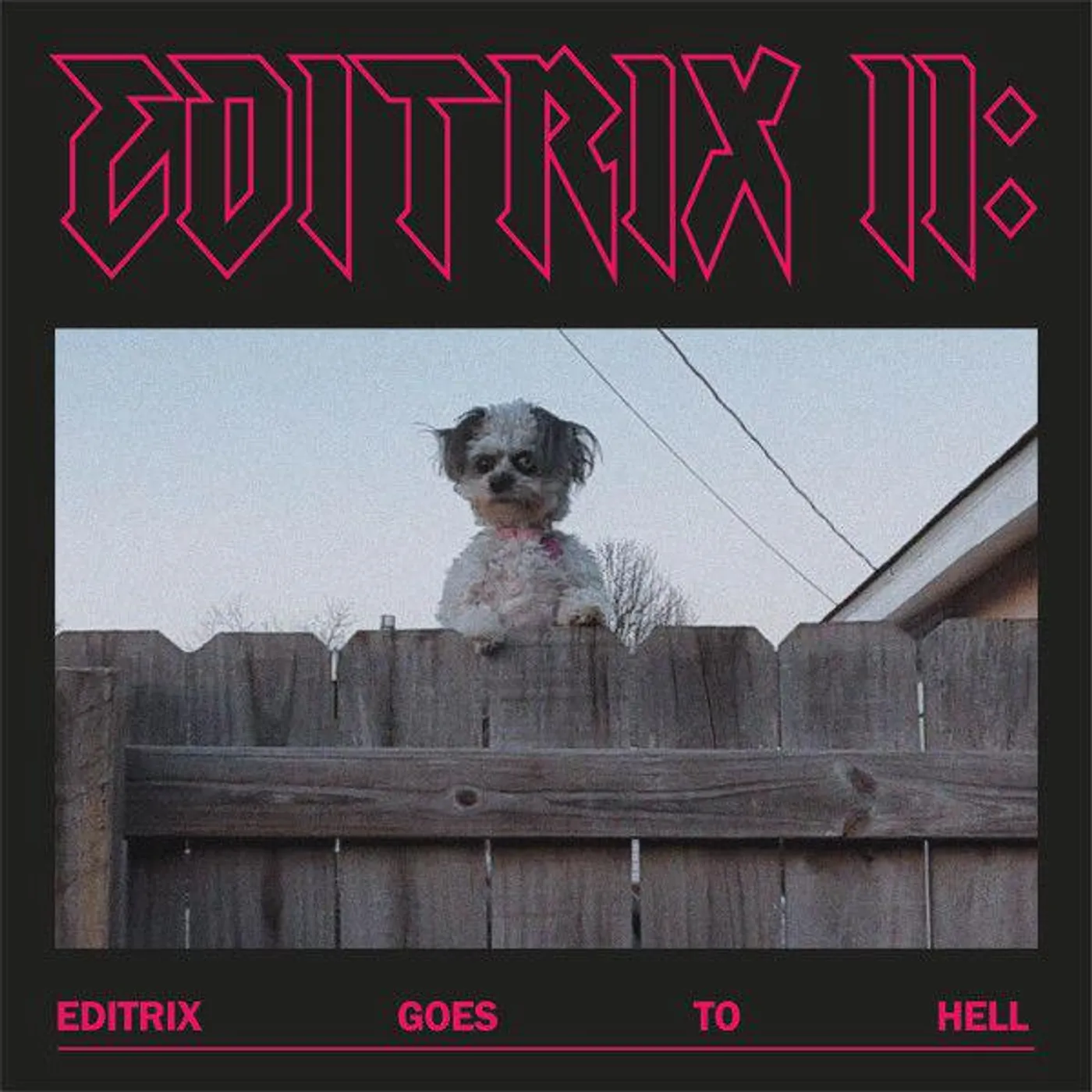 Editrix II: Editrix Goes To Hell vinyl record