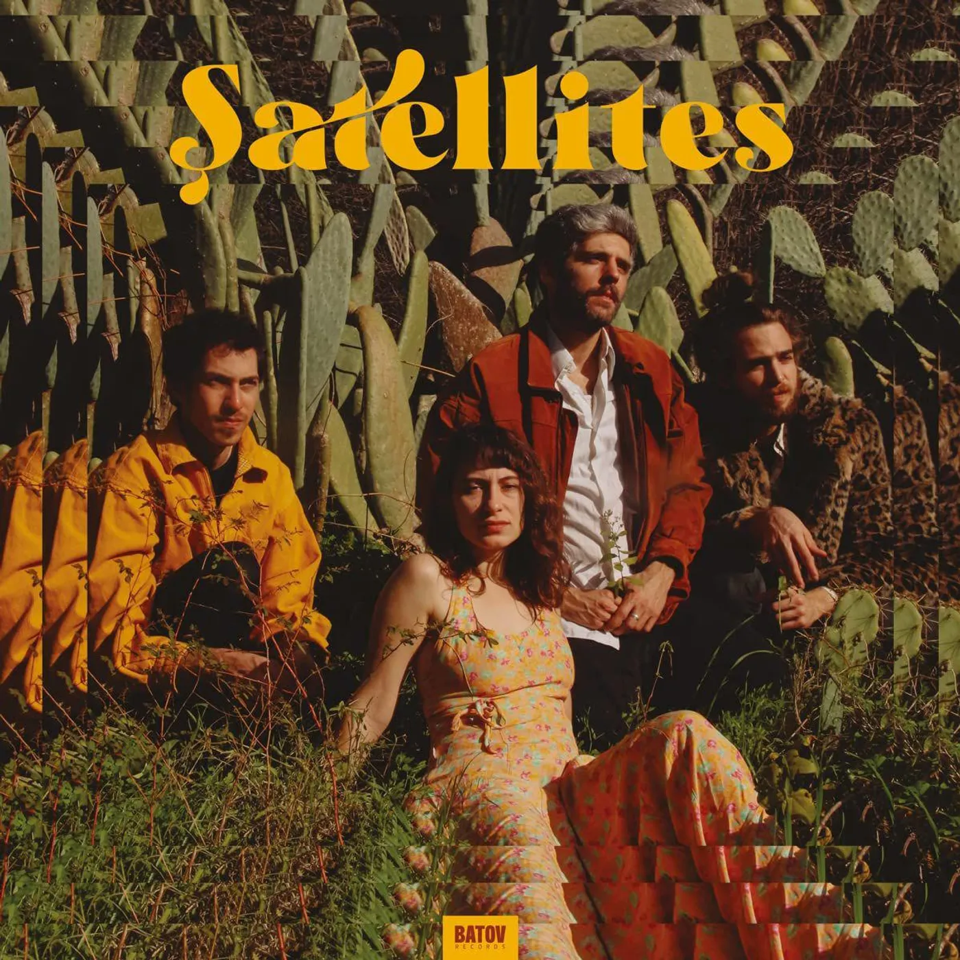 Satellites vinyl record