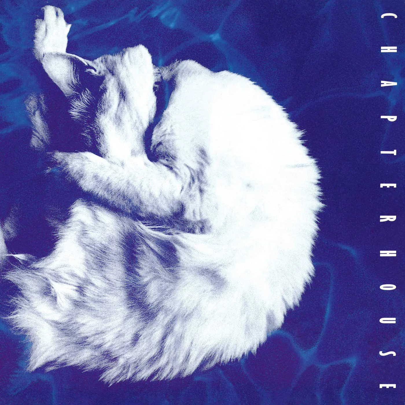 Chapterhouse Whirlpool Vinyl Record