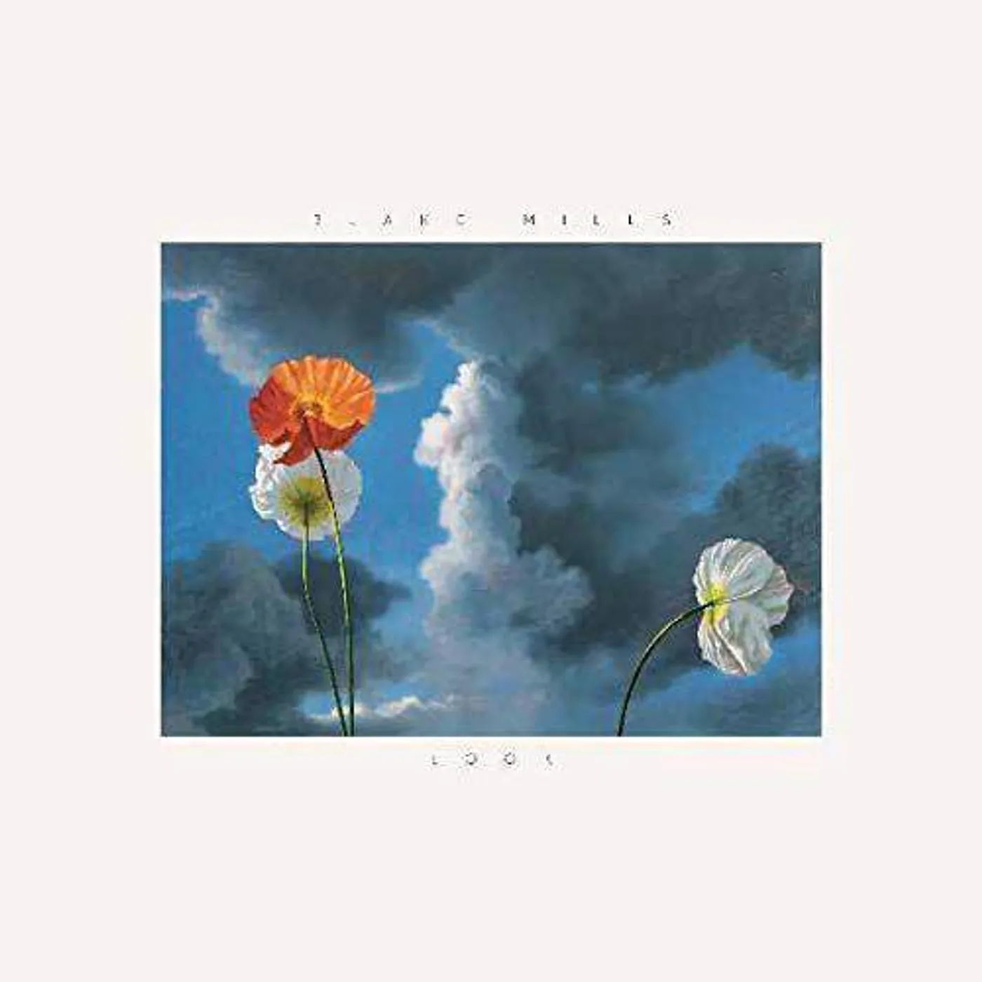 Blake Mills Look Vinyl Record
