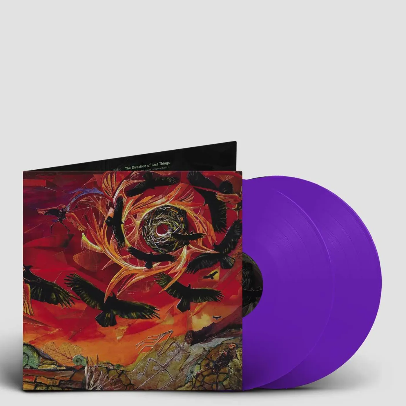 Intronaut Direction of Last Things (2LP/Purple) Vinyl Record