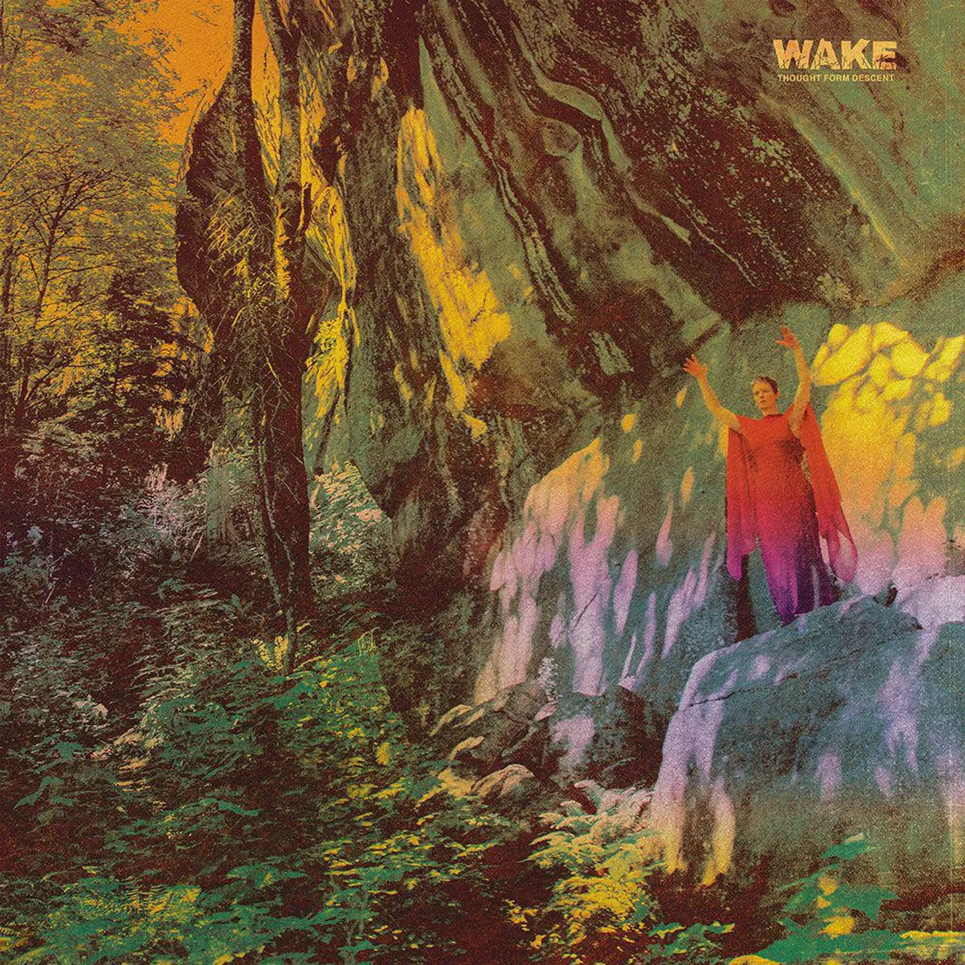 Wake Thought Form Descent (Marbled) Vinyl Record