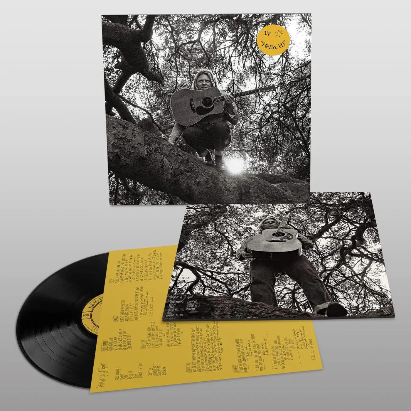 Ty Segall Hello, Hi Vinyl Record