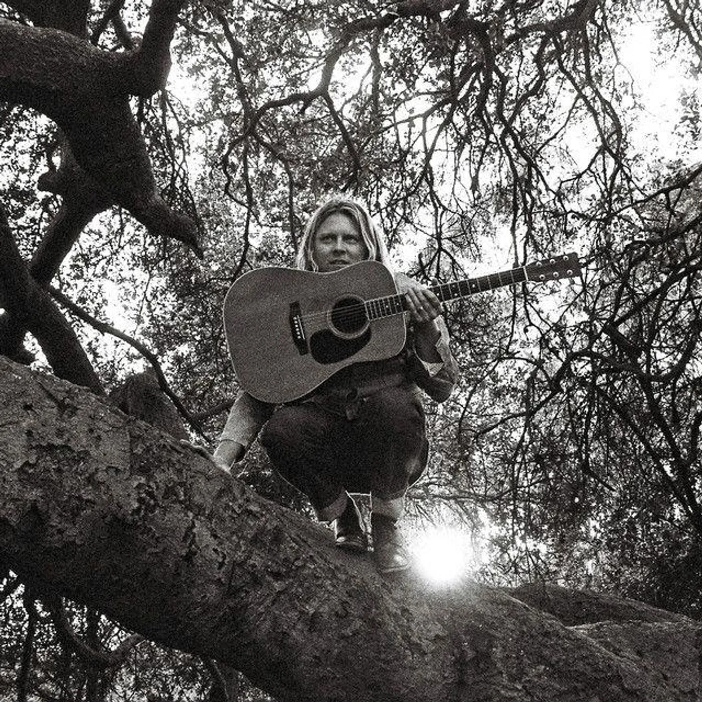 Ty Segall Hello, Hi Vinyl Record