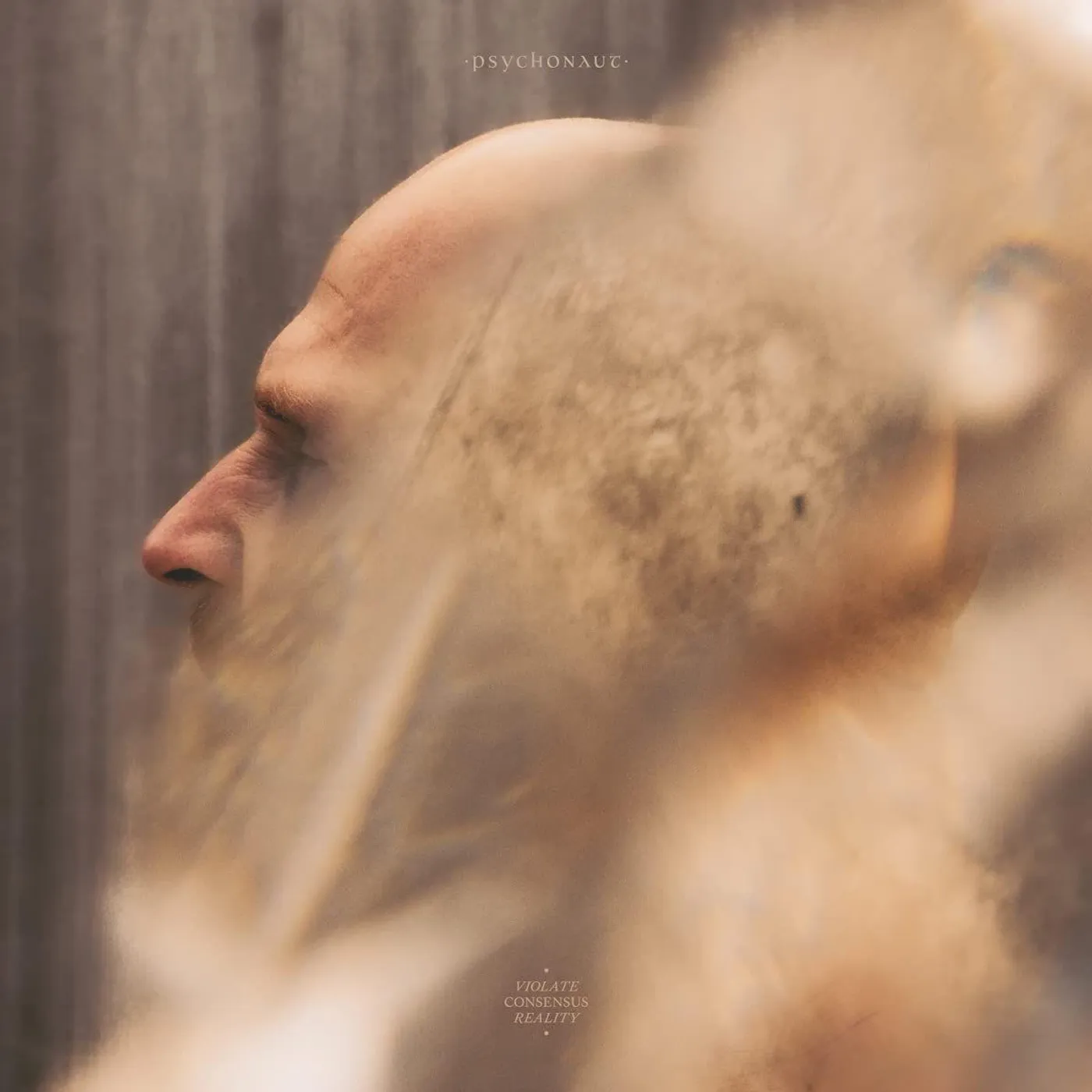 Psychonaut Violate Consensus Reality (2LP) Vinyl Record