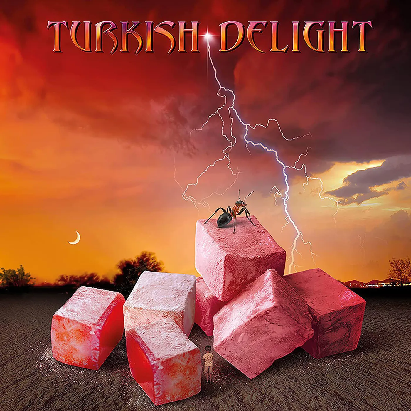TURKISH DELIGHT Volume One (2LP) Vinyl Record