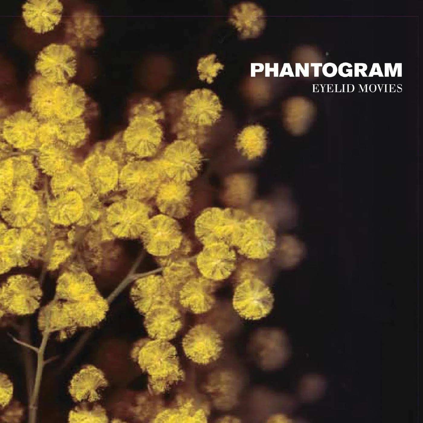 Phantogram EYELID MOVIES (140G/DELUXE EXPANDED EDITION/BLACK-SWIRLED YELLOW VINYL/2LP) Vinyl Record